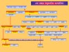 Tagore's Family Tree